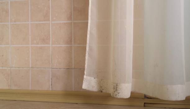 Mold Removal for HVAC Installations in Genoa, OH