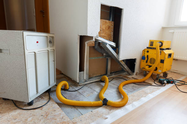 Best HVAC Mold Inspection and Cleaning  in Genoa, OH