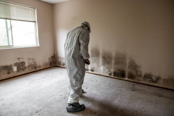 Best Airborne Mold Testing  in Genoa, OH